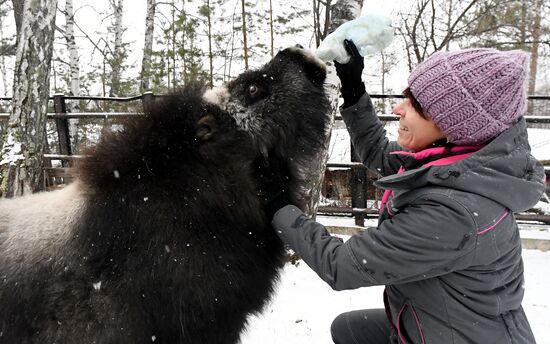 Russia Zoo