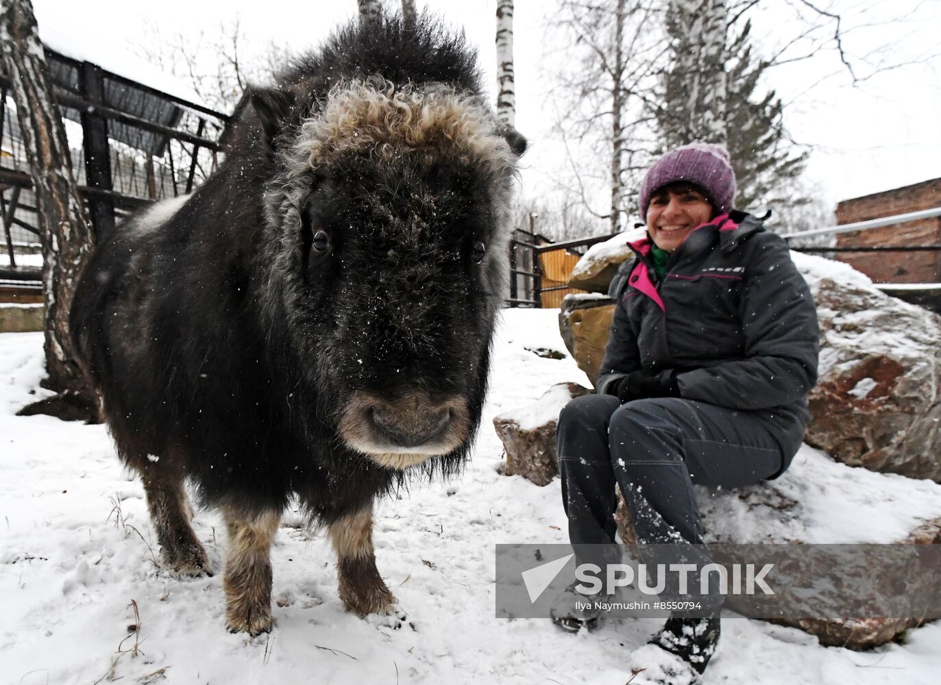 Russia Zoo