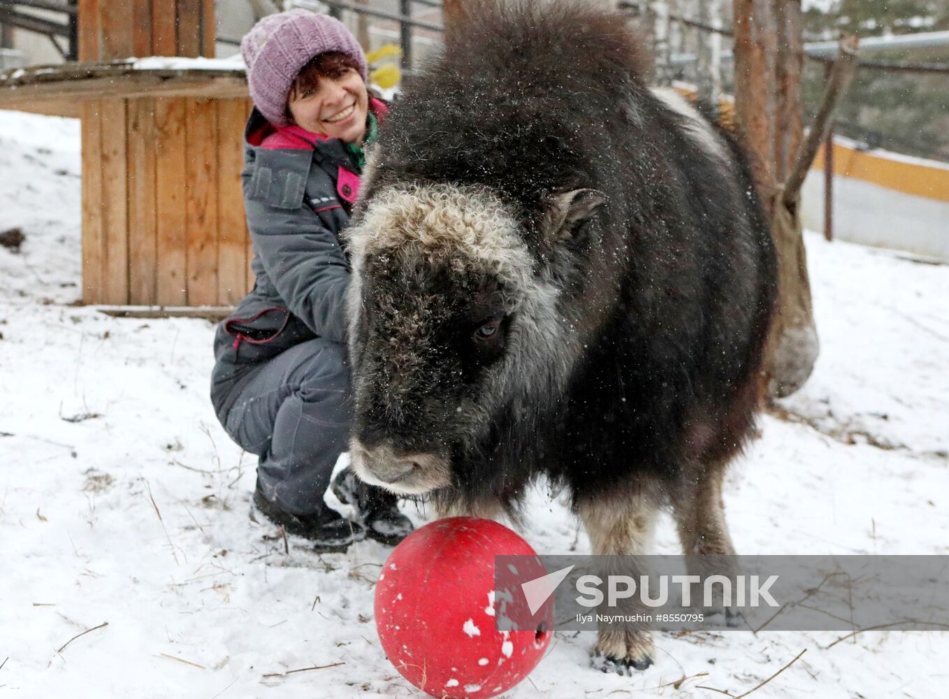 Russia Zoo