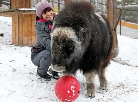 Russia Zoo