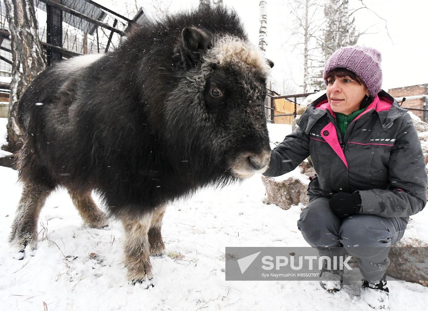 Russia Zoo