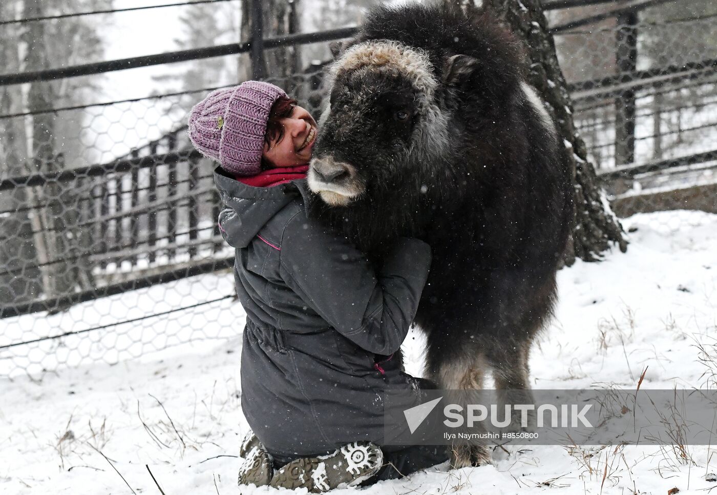 Russia Zoo