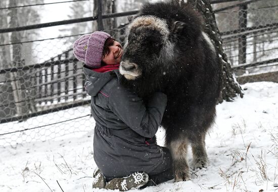 Russia Zoo