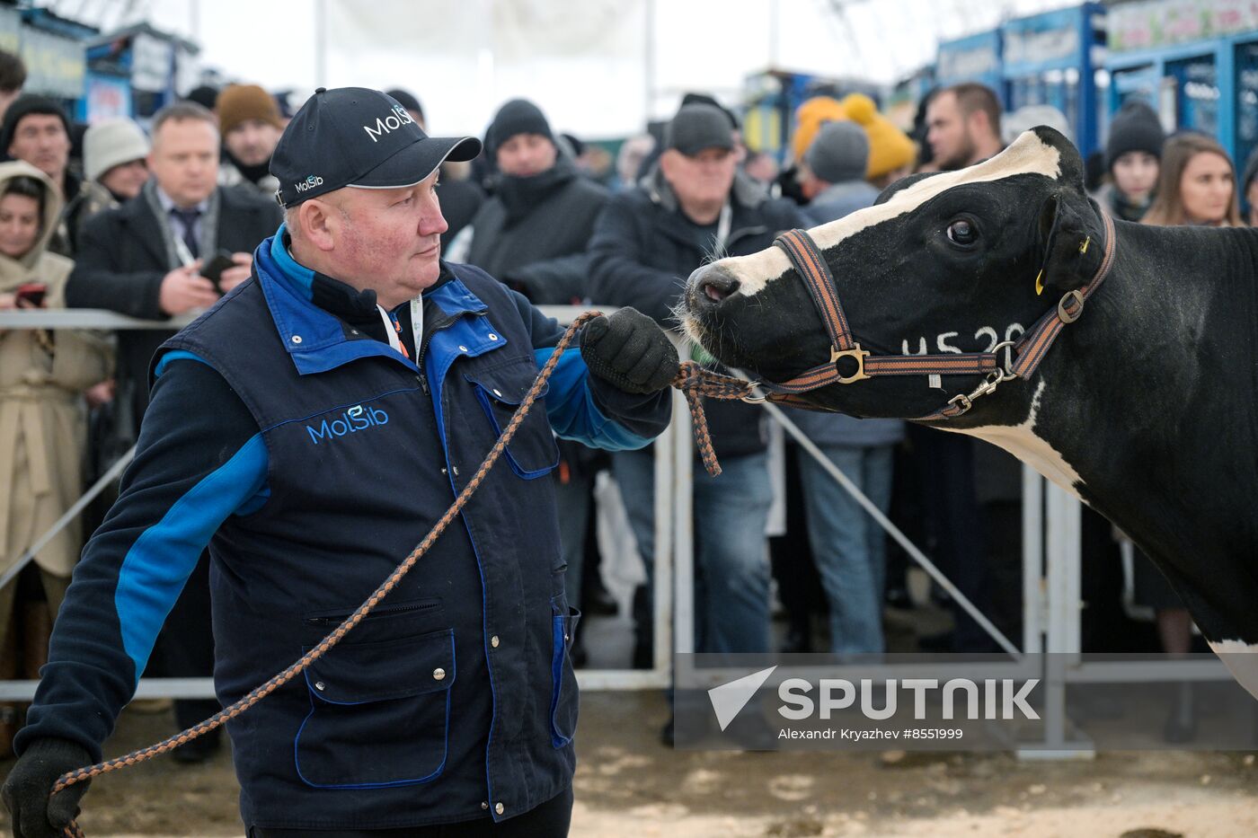 Russia Agriculture Breeding Animals Exhibition