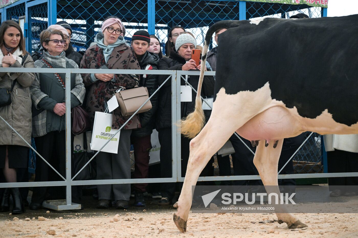 Russia Agriculture Breeding Animals Exhibition