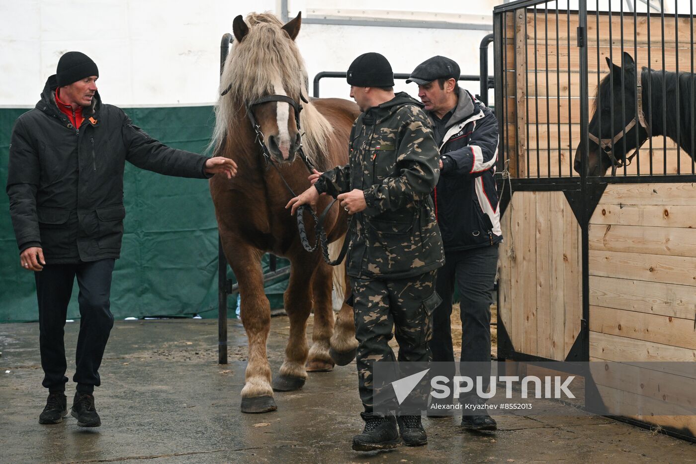 Russia Agriculture Breeding Animals Exhibition
