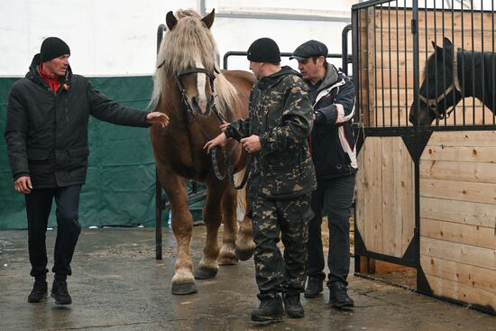Russia Agriculture Breeding Animals Exhibition