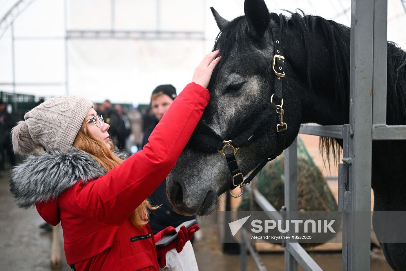Russia Agriculture Breeding Animals Exhibition