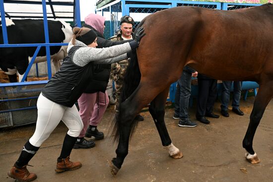 Russia Agriculture Breeding Animals Exhibition