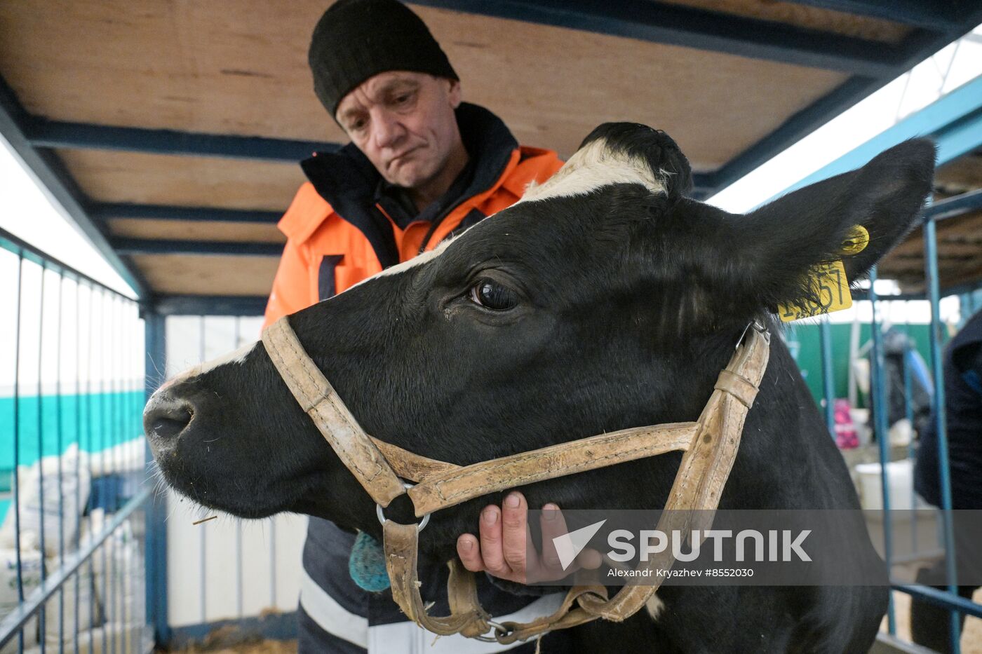 Russia Agriculture Breeding Animals Exhibition