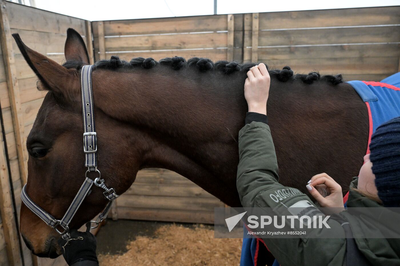 Russia Agriculture Breeding Animals Exhibition