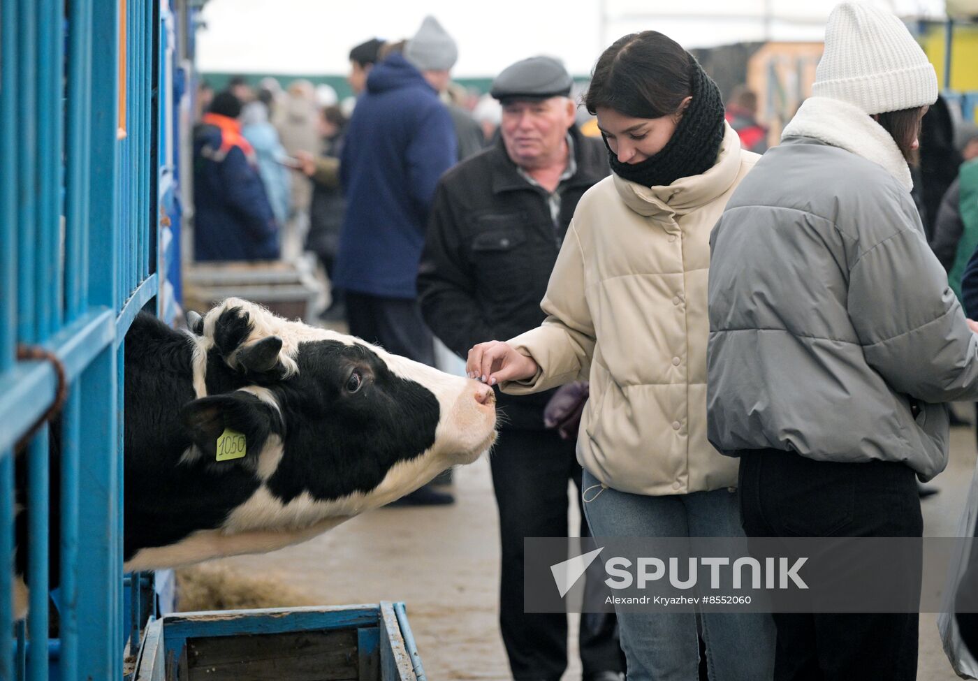 Russia Agriculture Breeding Animals Exhibition