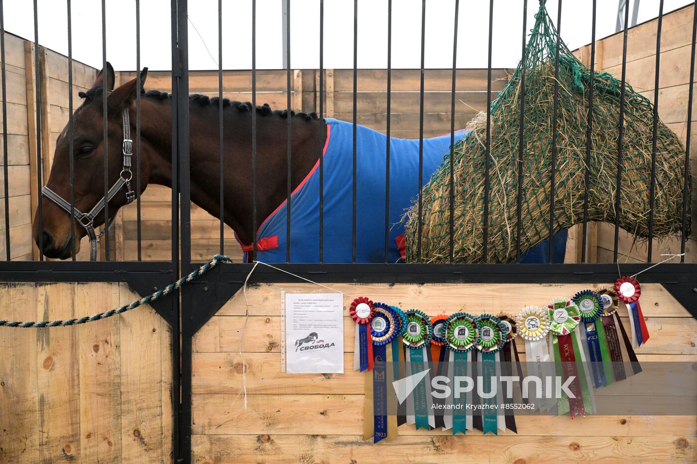 Russia Agriculture Breeding Animals Exhibition