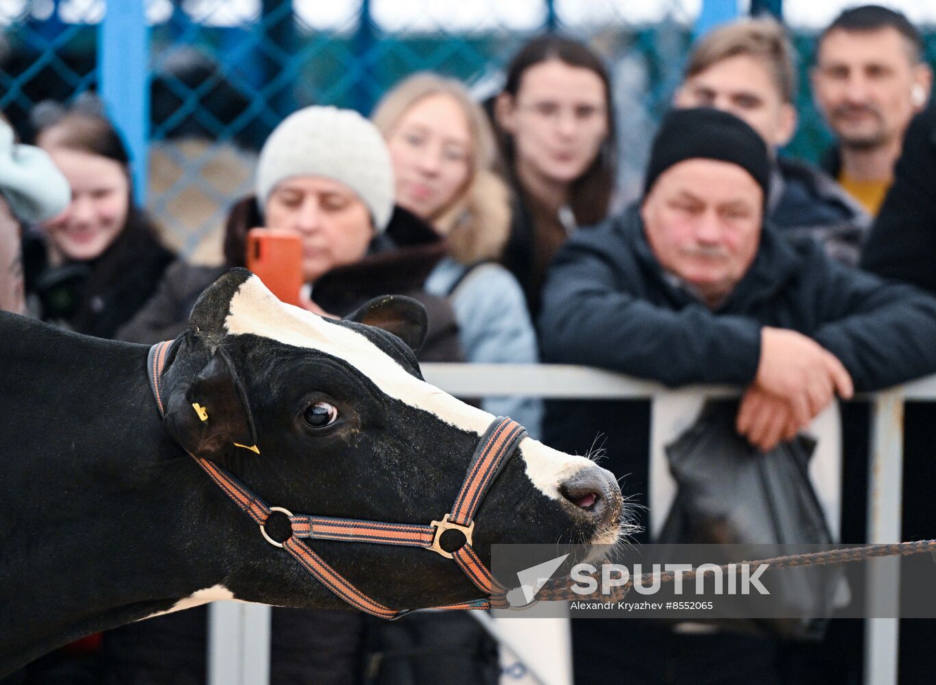 Russia Agriculture Breeding Animals Exhibition