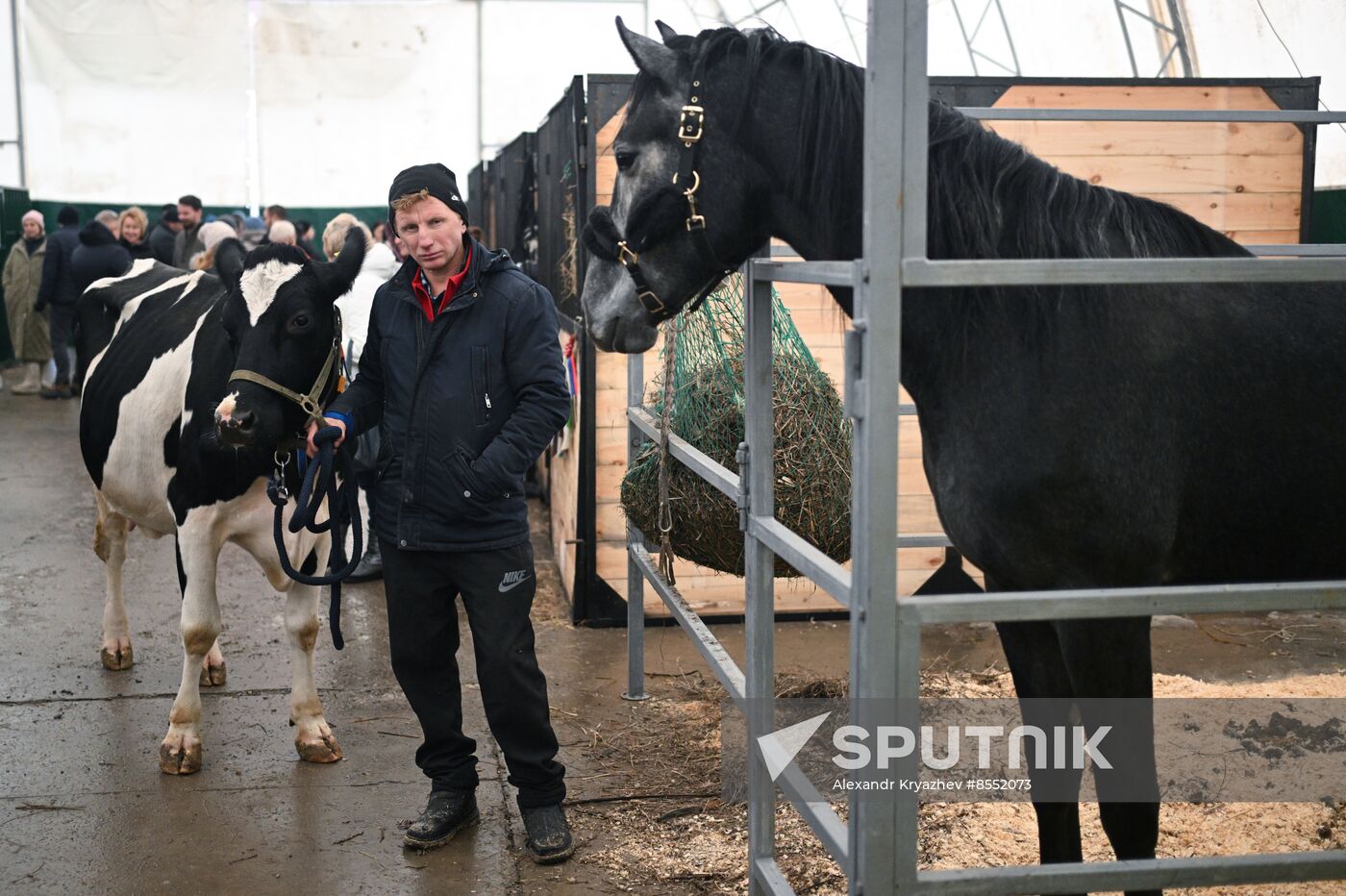 Russia Agriculture Breeding Animals Exhibition