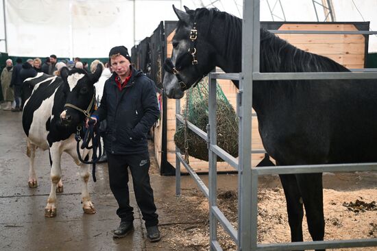Russia Agriculture Breeding Animals Exhibition