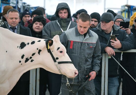 Russia Agriculture Breeding Animals Exhibition