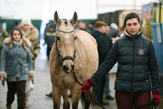 Russia Agriculture Breeding Animals Exhibition