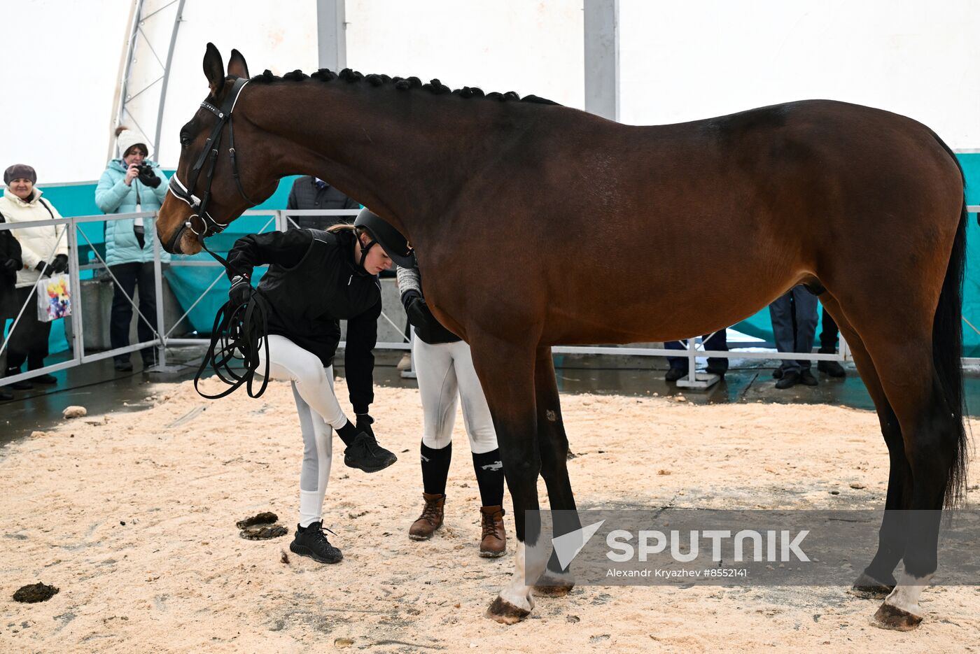 Russia Agriculture Breeding Animals Exhibition