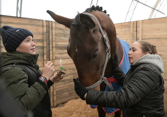Russia Agriculture Breeding Animals Exhibition