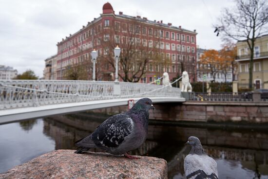 Russia Daily Life