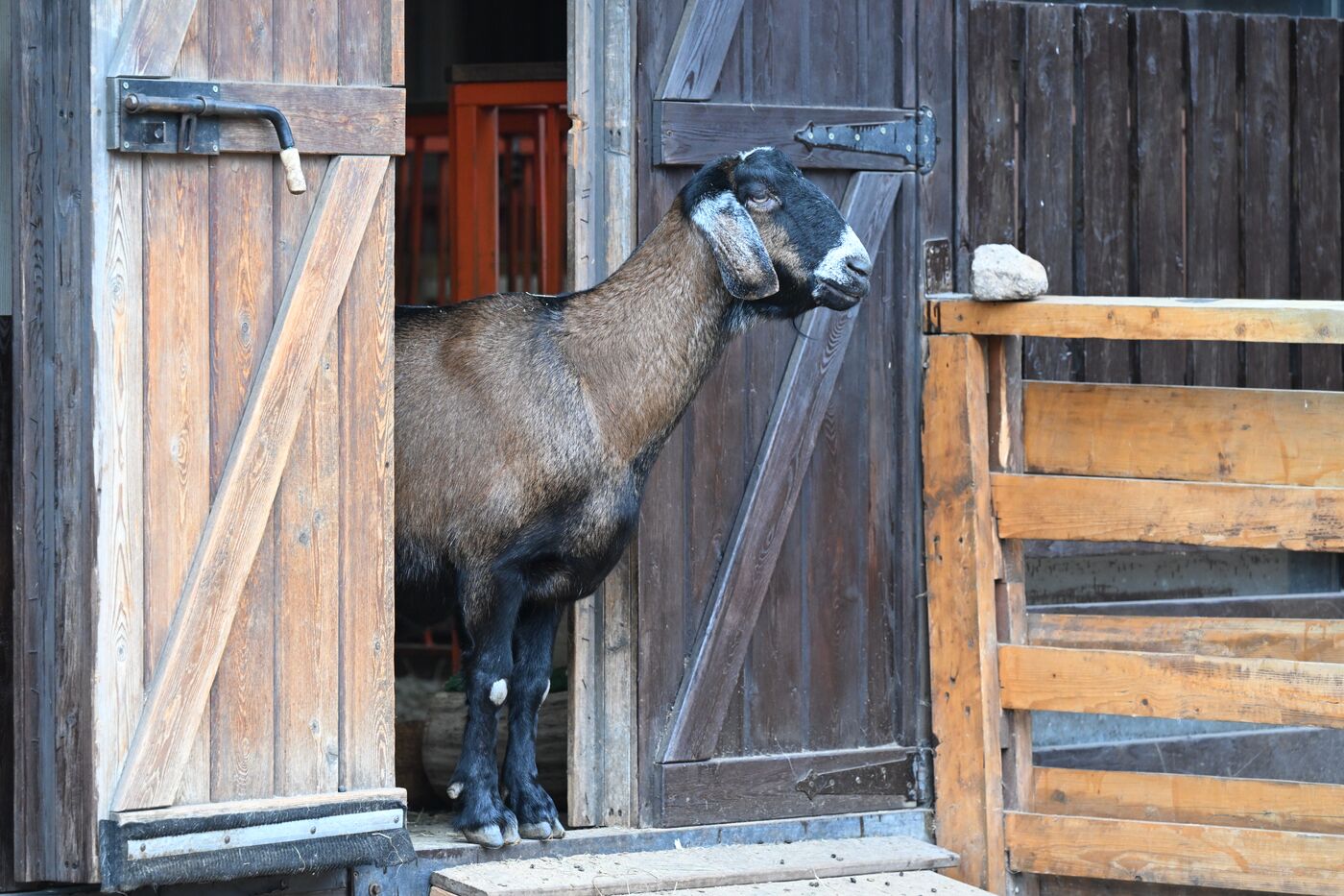 International RUSSIA EXPO forum and exhibition. Local delicacies exhibition