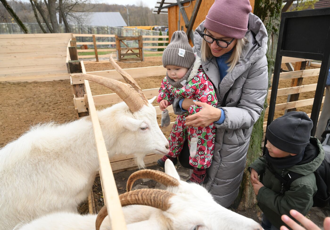 International RUSSIA EXPO forum and exhibition. Local delicacies exhibition