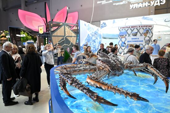 The International RUSSIA EXPO forum and exhibition. Pavilion 75. Location: Russia, Moscow. Author: Maksim Blinov/Sputnik. International RUSSIA EXPO forum and exhibition