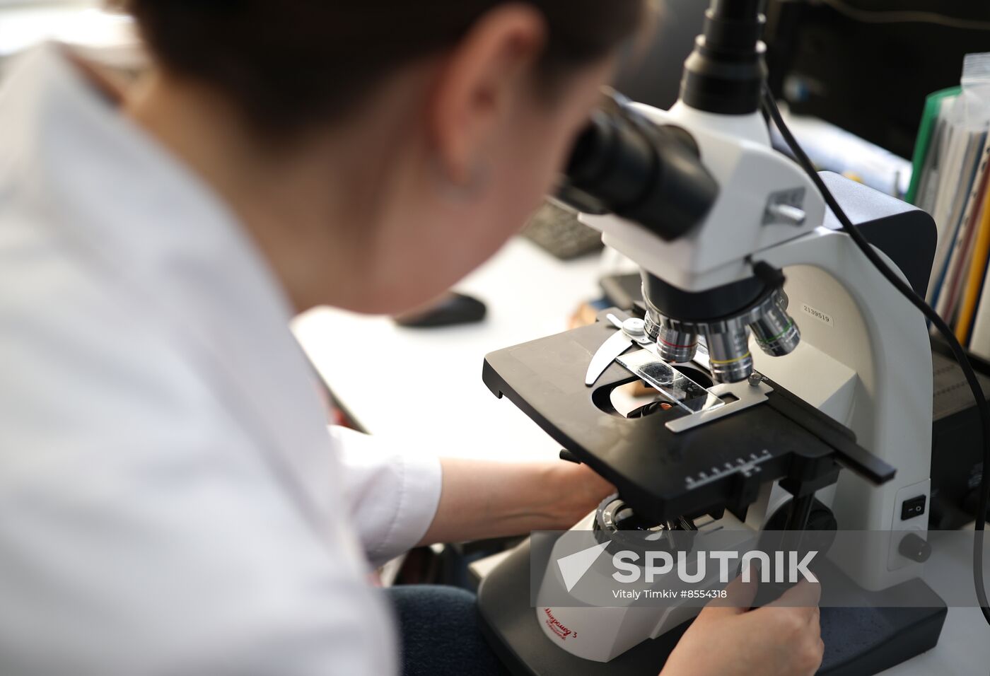 Russia Imitated Caviar