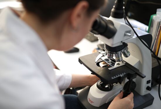 Russia Imitated Caviar