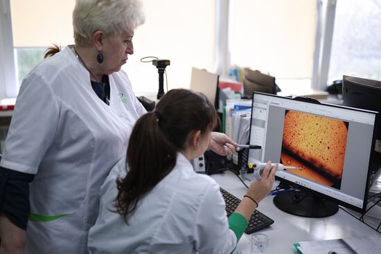 Russia Imitated Caviar