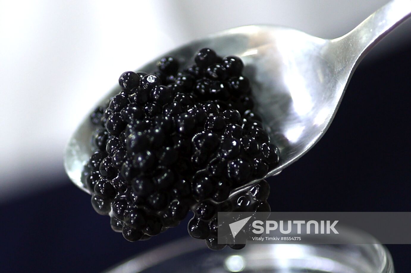 Russia Imitated Caviar