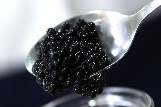 Russia Imitated Caviar
