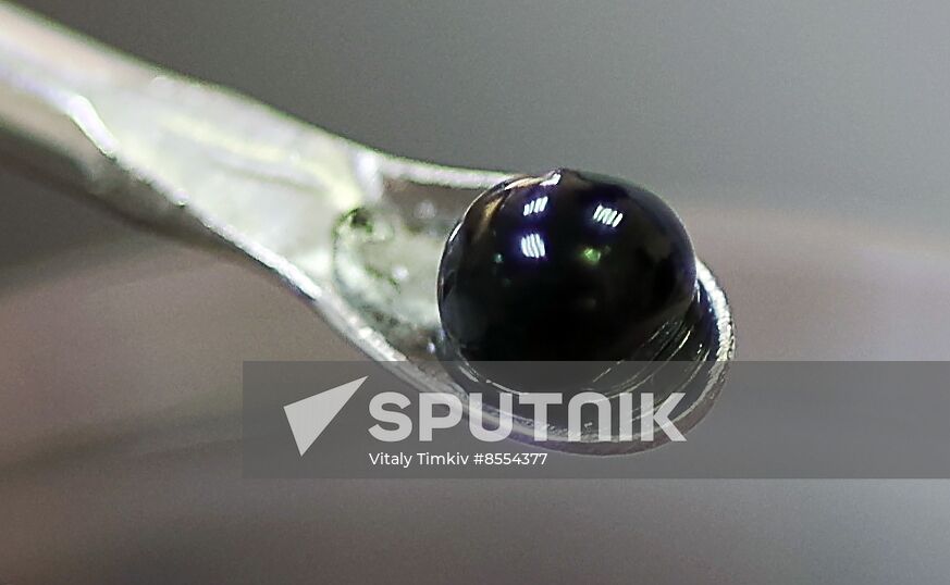 Russia Imitated Caviar