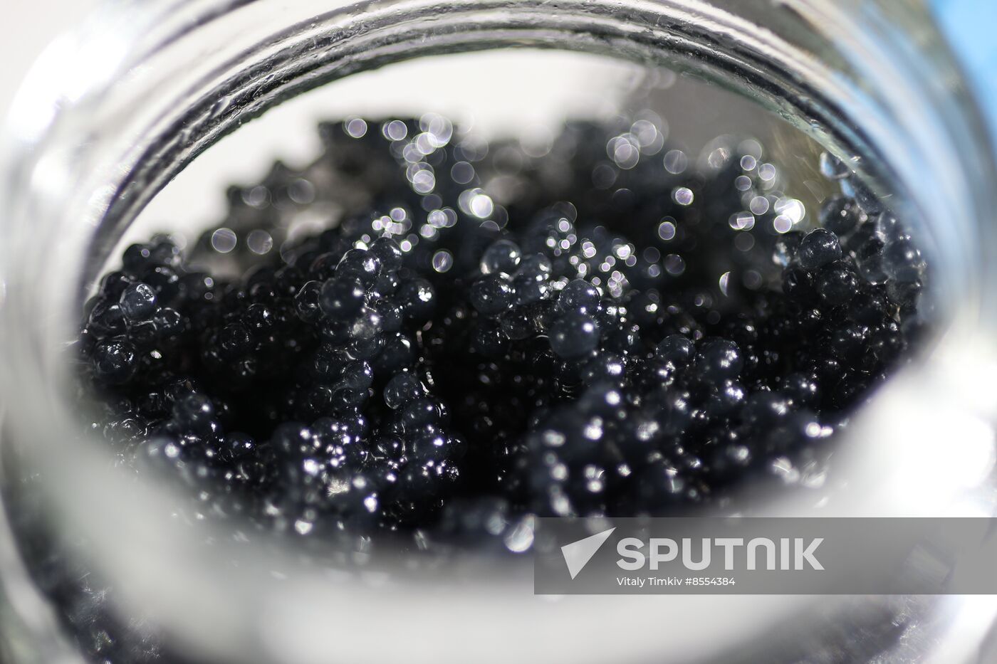 Russia Imitated Caviar