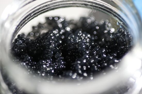 Russia Imitated Caviar