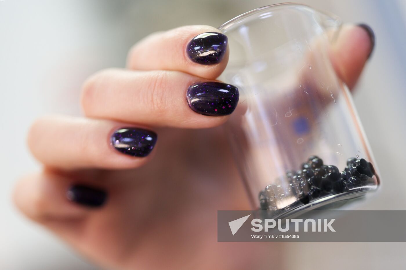 Russia Imitated Caviar