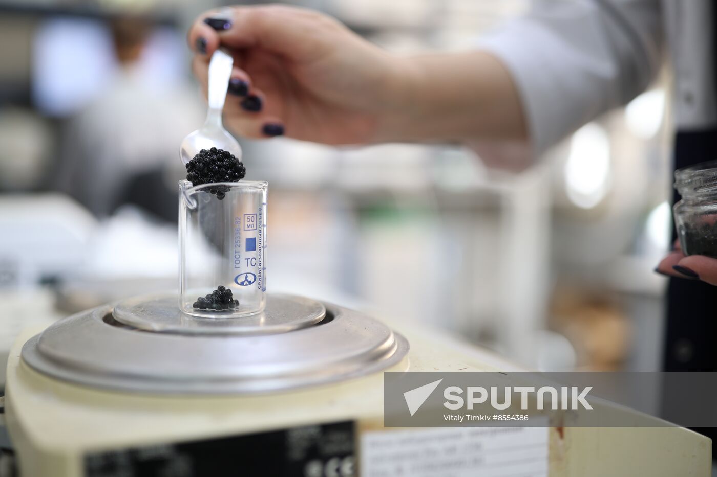 Russia Imitated Caviar