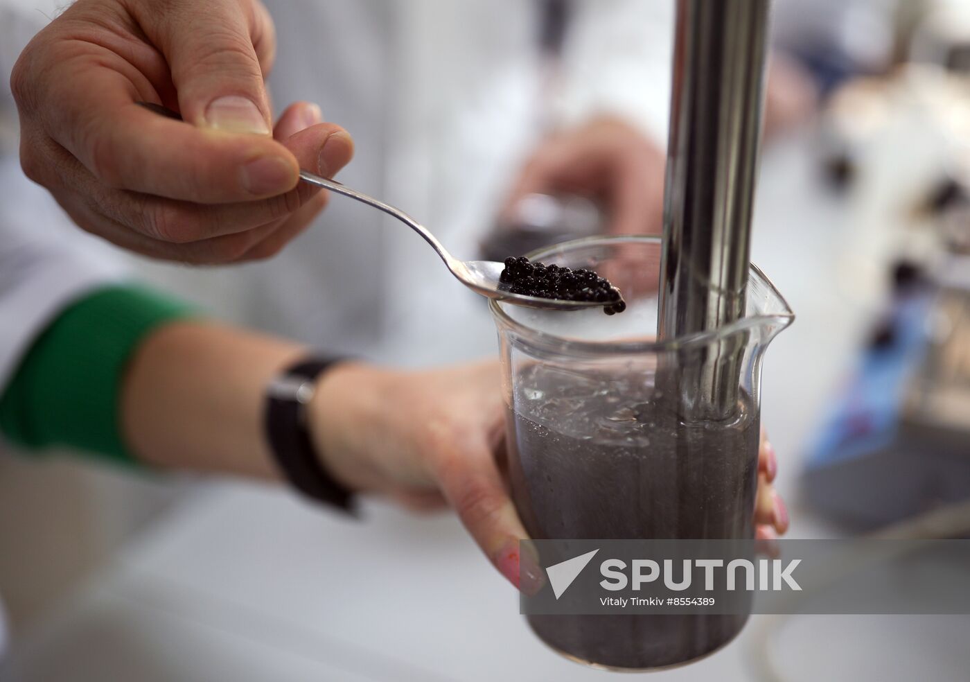 Russia Imitated Caviar