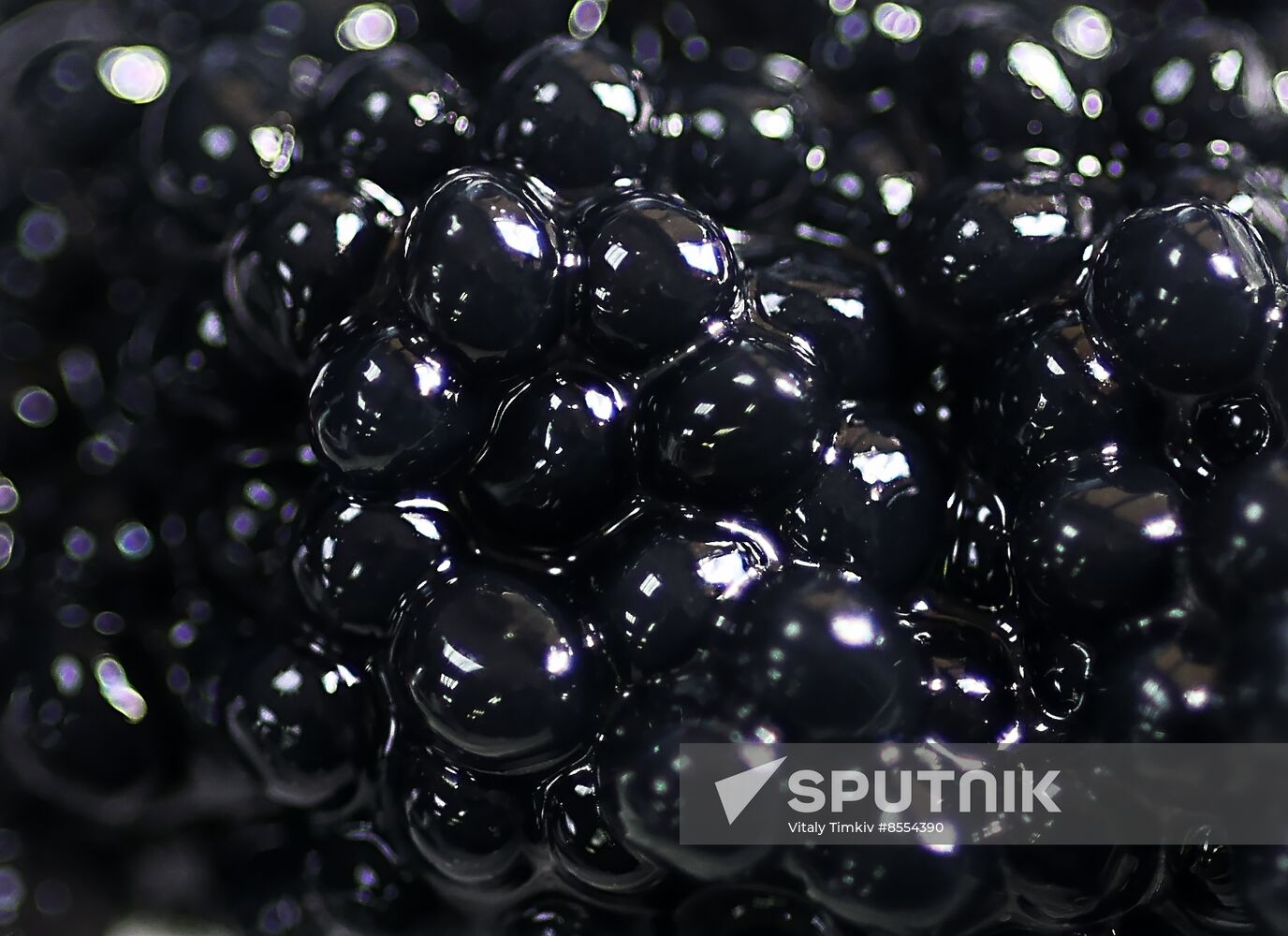 Russia Imitated Caviar