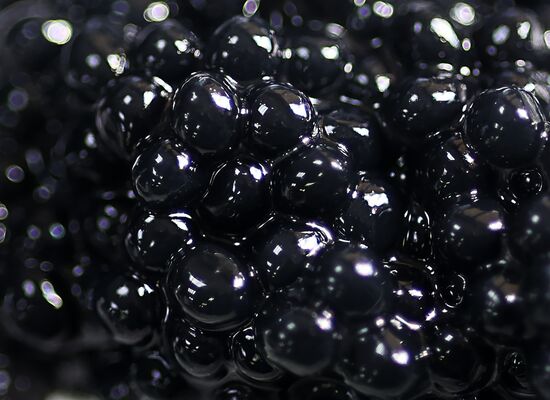 Russia Imitated Caviar