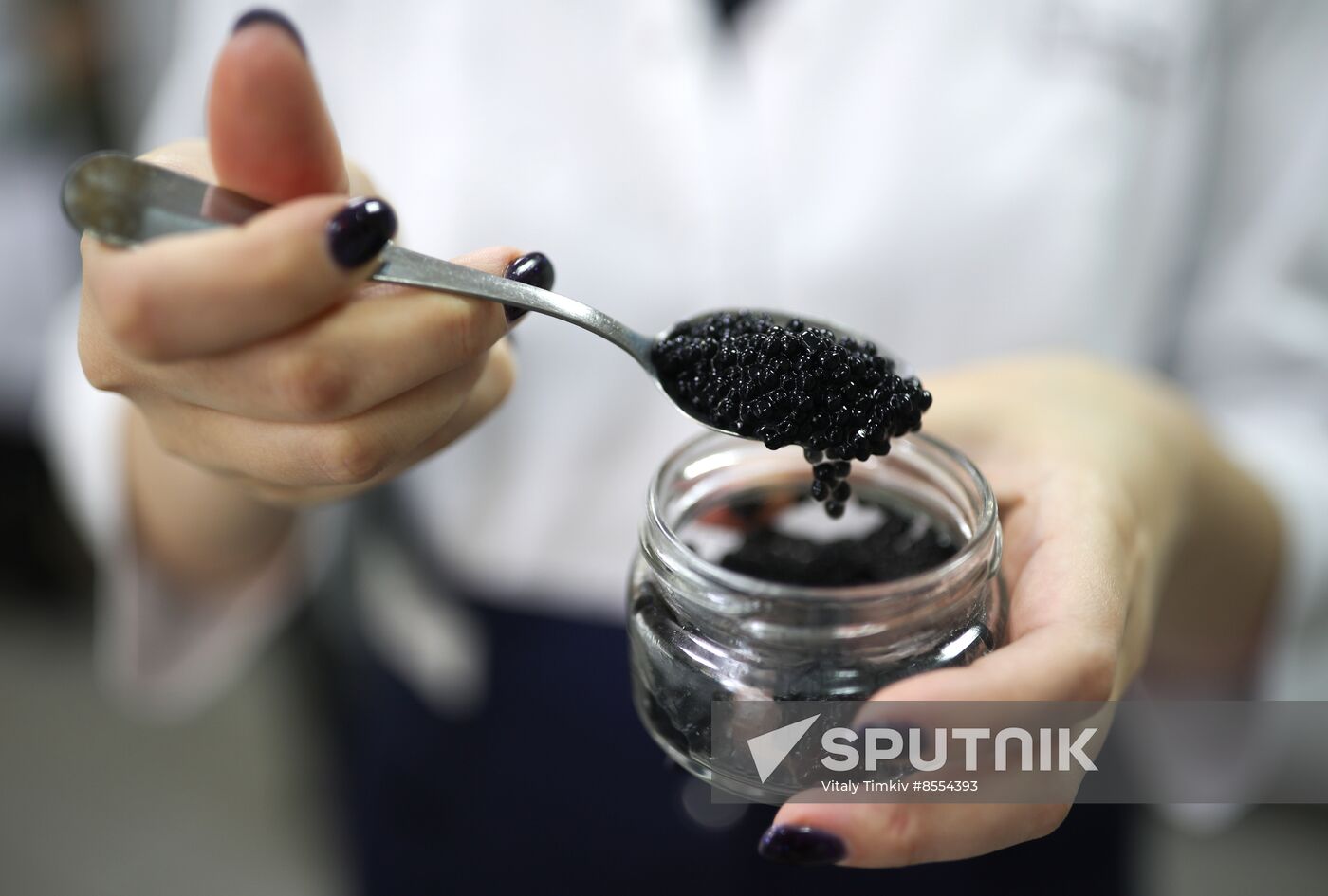 Russia Imitated Caviar