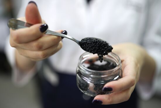 Russia Imitated Caviar