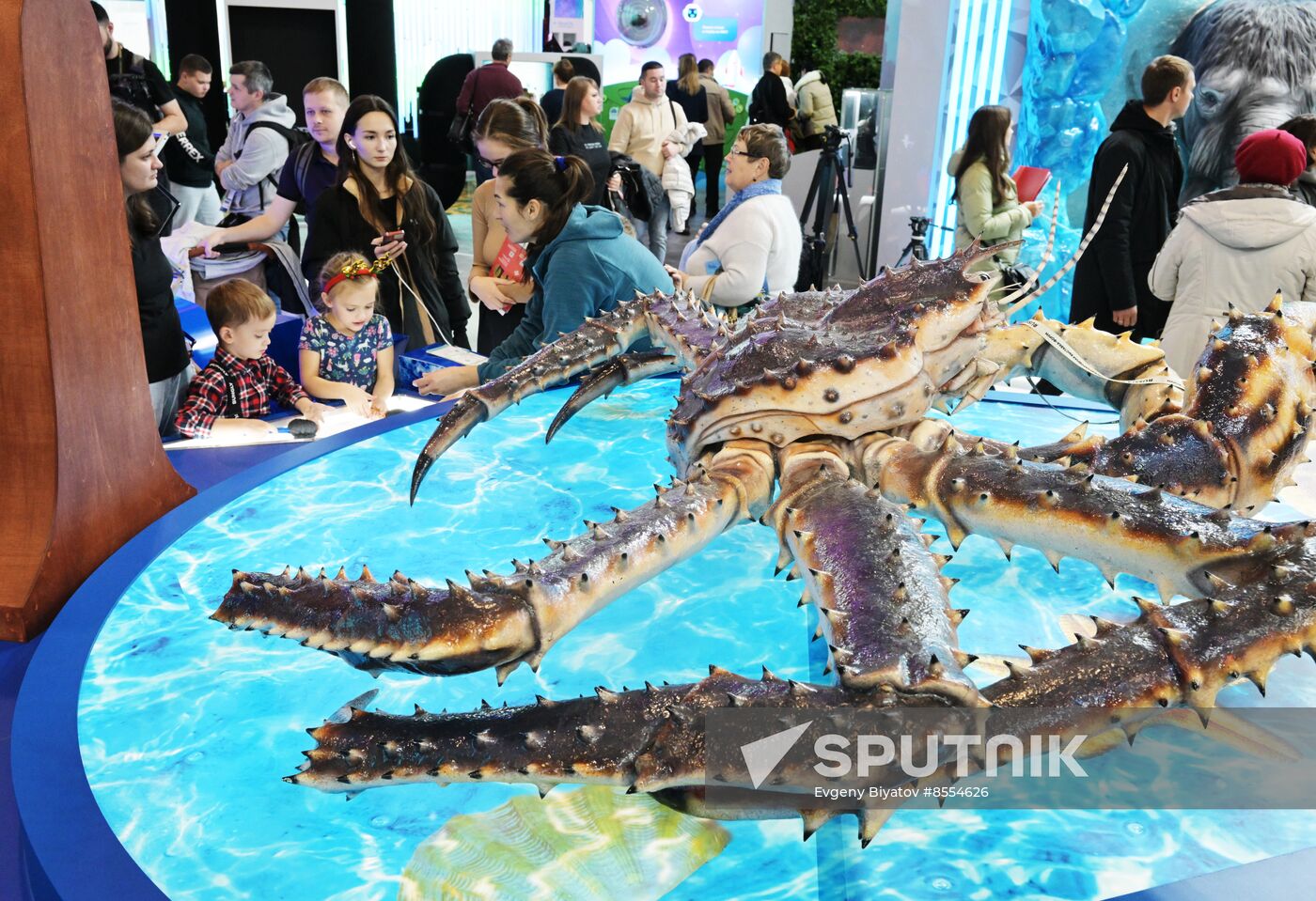 International RUSSIA EXPO forum and exhibition