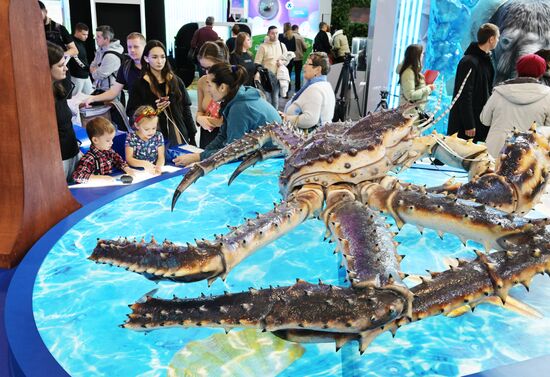 The International RUSSIA EXPO forum and exhibition. A Sakhalin crab at the stand of the Sakhalin Region. Pavilion 75. Location: Russia, Moscow. Author: Evgeny Biyatov/Sputnik. International RUSSIA EXPO forum and exhibition