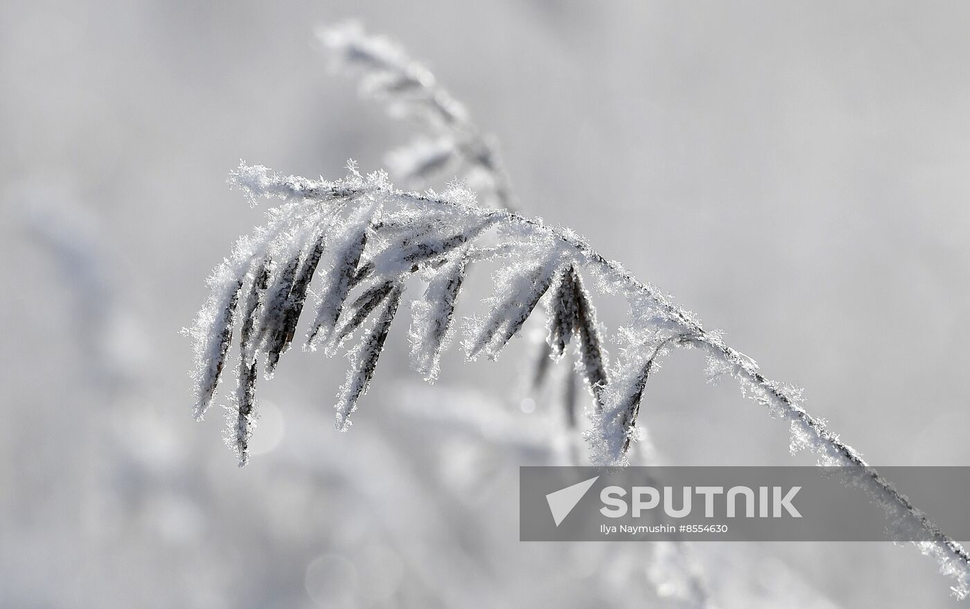Russia Weather