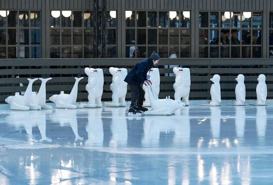 Russia Winter Leisure