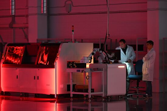 Russia Electronics Industry