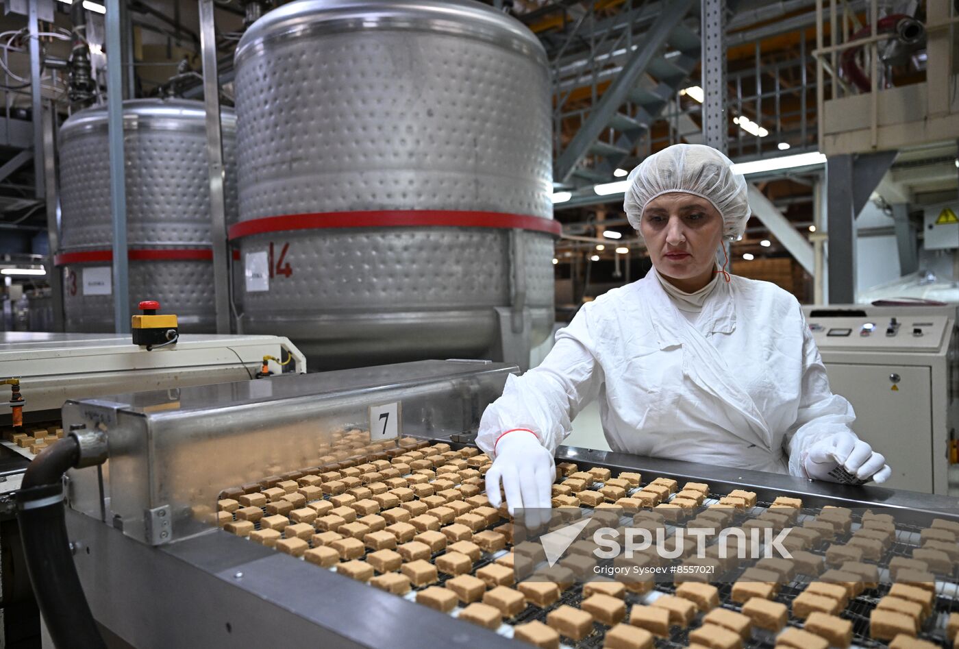 Russia Confectionery Industry