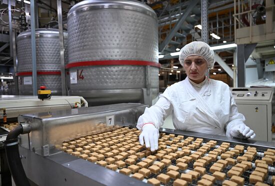 Russia Confectionery Industry